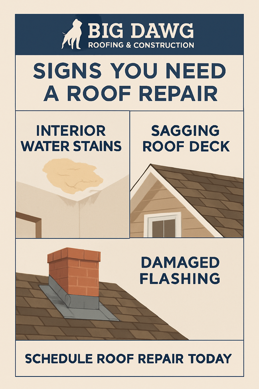 Educational roofing infographic by Big Dawg Roofing & Construction showing signs you need a roof repair: interior water stains, sagging roof deck, and damaged flashing.