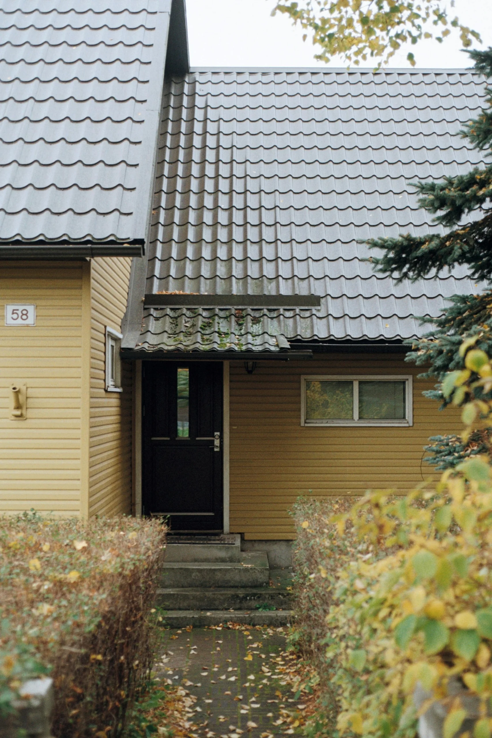 Front entrance of a tan house with dark gray metal roofing surrounded by autumn shrubs.