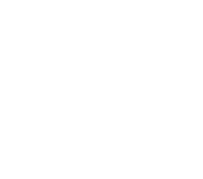 Big Dawg Roofing & Construction